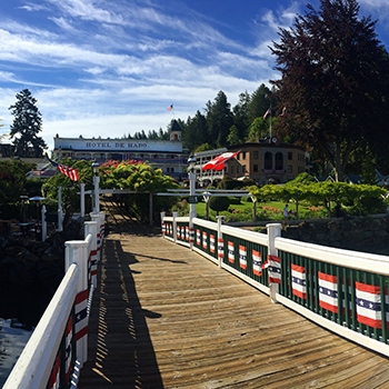 Independence Day Flotilla Image